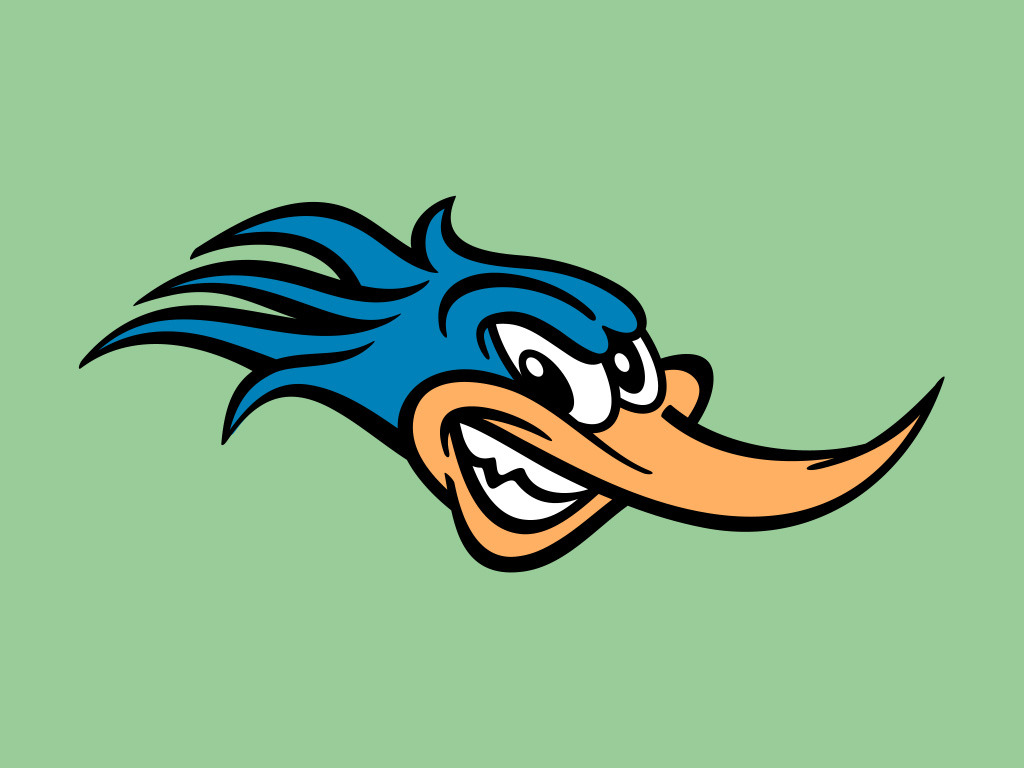 roadrunner